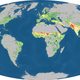 Illustration for article titled New map shows whether your region uses more carbon than it generates